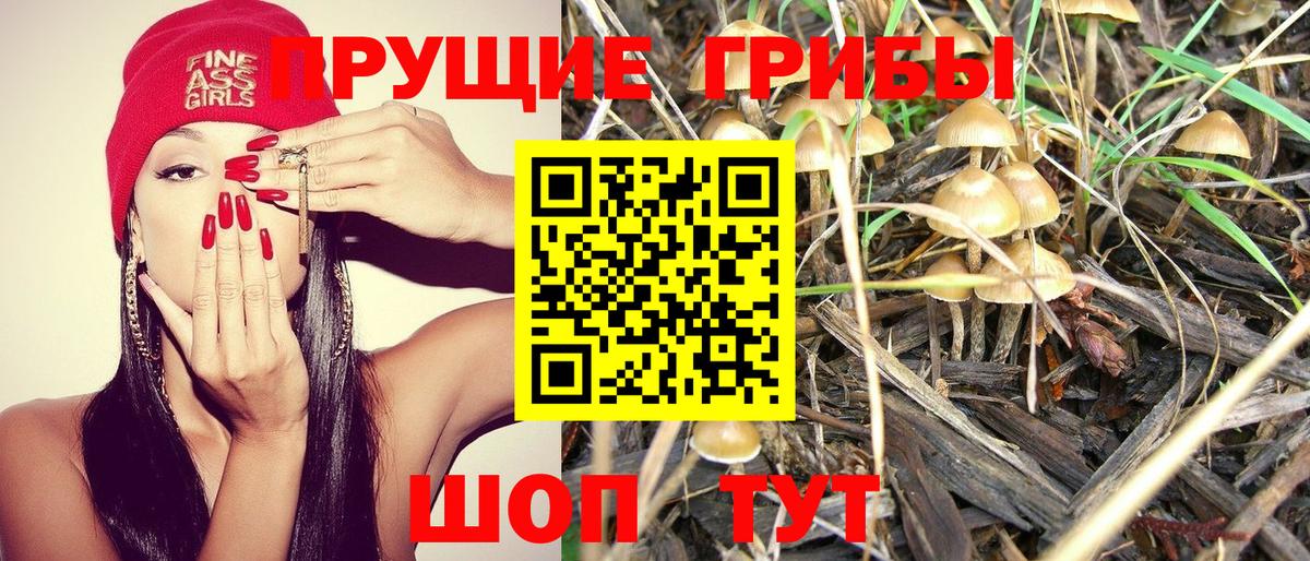 Галлюциногенные грибы Cubensis Карачаевск