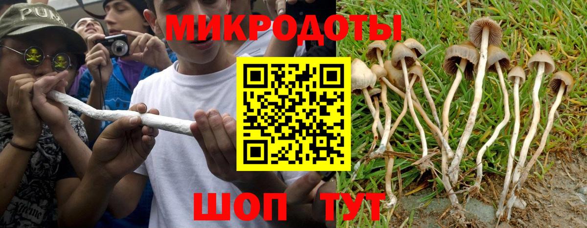 Галлюциногенные грибы GOLDEN TEACHER  Псилоцибиновые грибы Cubensis  Вход с VPN  Карачаевск 
